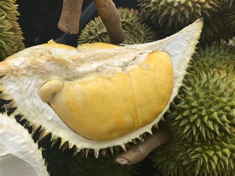 durian delicacies|Where to Eat Durian in Davao City .